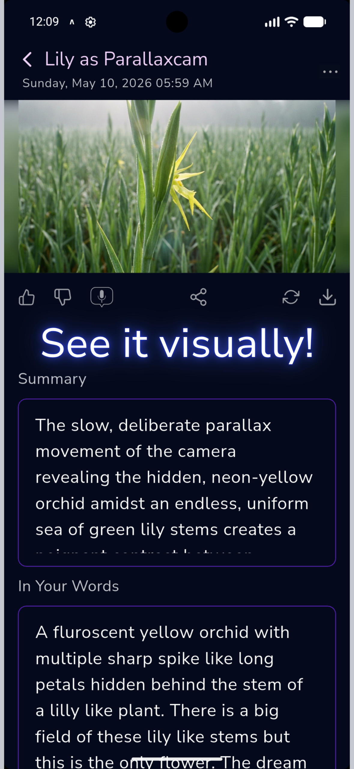 Turn your ideas into visual inspiration